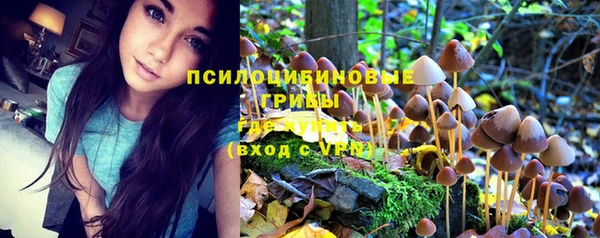шишки Козельск