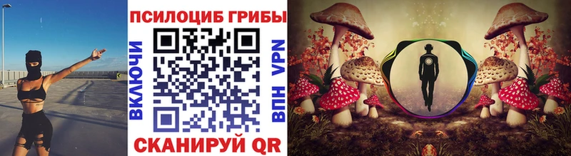 Псилоцибиновые грибы мицелий  дарнет шоп  Новочебоксарск 